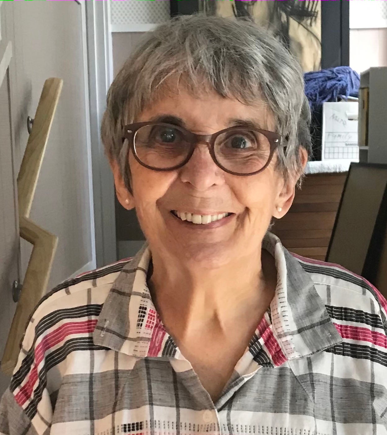 photo of Professor Meredith Skura