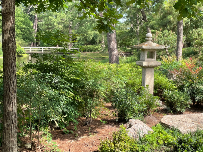 Japanese Garden
