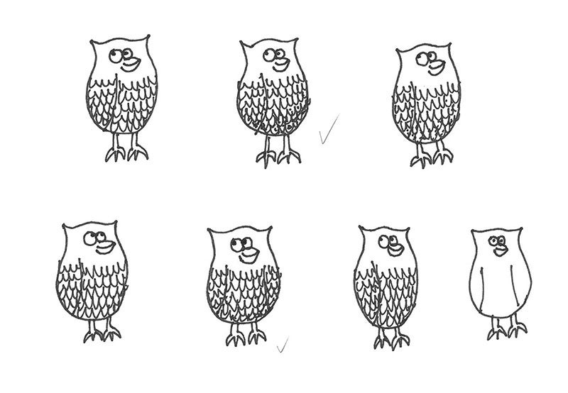 Owls Illustration